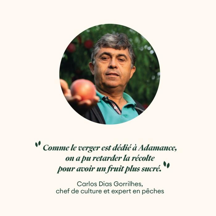 peche blanche onyx bellerime puree refrigeree 2x1 kg par adamance