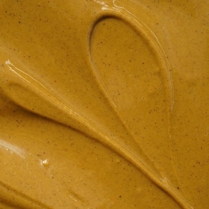 pate pure pistache par pariani