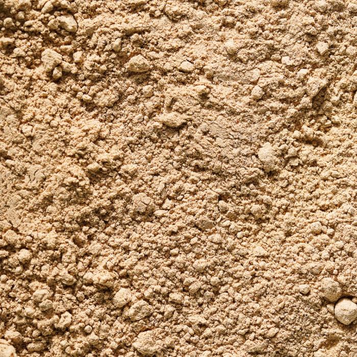 poudre noisette deshuilee par pariani