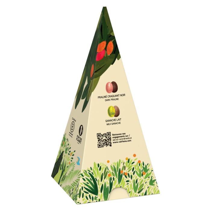 cone oeufs noir lait 100g par valrhona