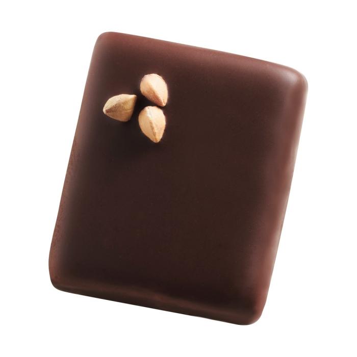 promesse praline amande sarrasin noir par valrhona
