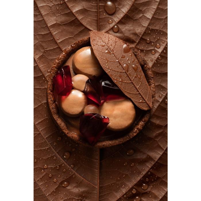 chocolat vegan amatika 46 par valrhona