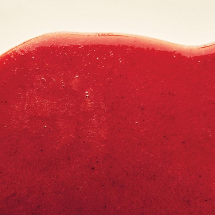 fraise clery charlotte puree 1 kg par adamance