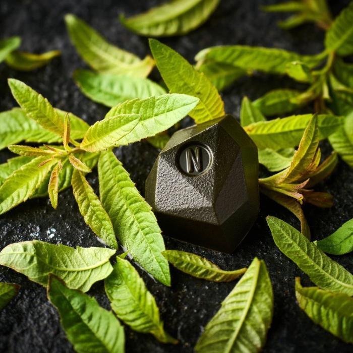 tadoka verveine par norohy