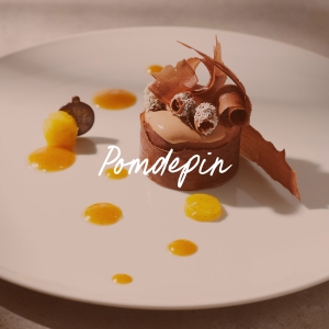 Pomdepin