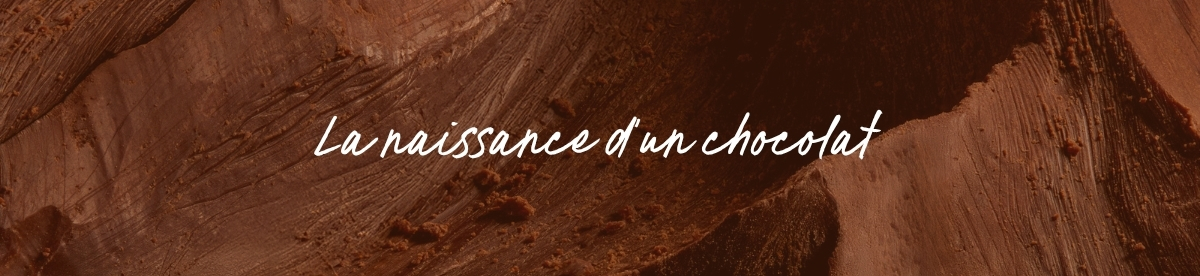 La naissance d'un chocolat