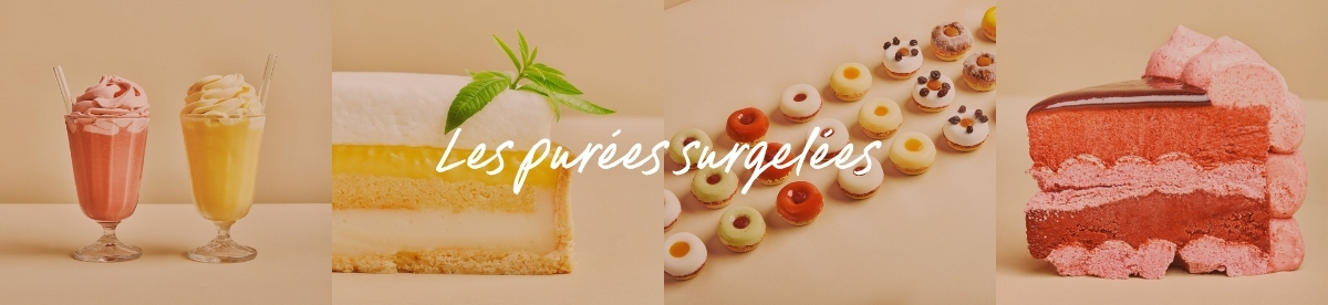 Pur&eacute;es de fruits surgel&eacute;es Adamance