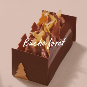 Bûche forêt