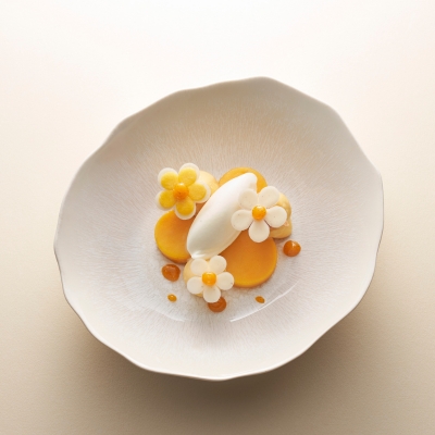 Dessert glacé Yaourt Passion - Recette