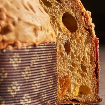 Panettone abricot noisette, dulcey