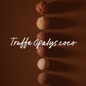 truffe opalys coco