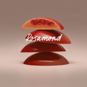 Bonbon de chocolat moulé rosamond