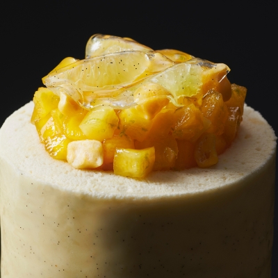 Charlotte cake opalys mangue recette