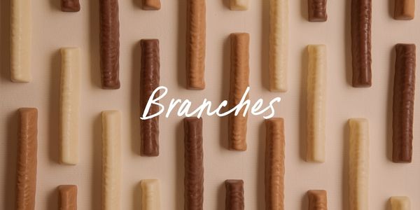 Branches au chocolat Villars