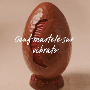 oeuf vibrato