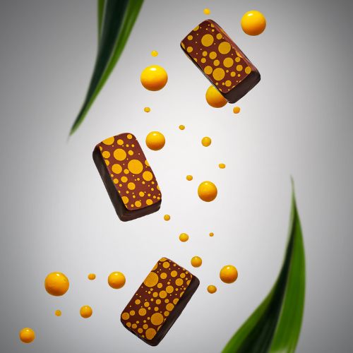 bonbon-chocolat-ganache-mangue-intense